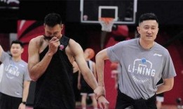 爆料杜锋姐姐事件视频下载,真相与争议